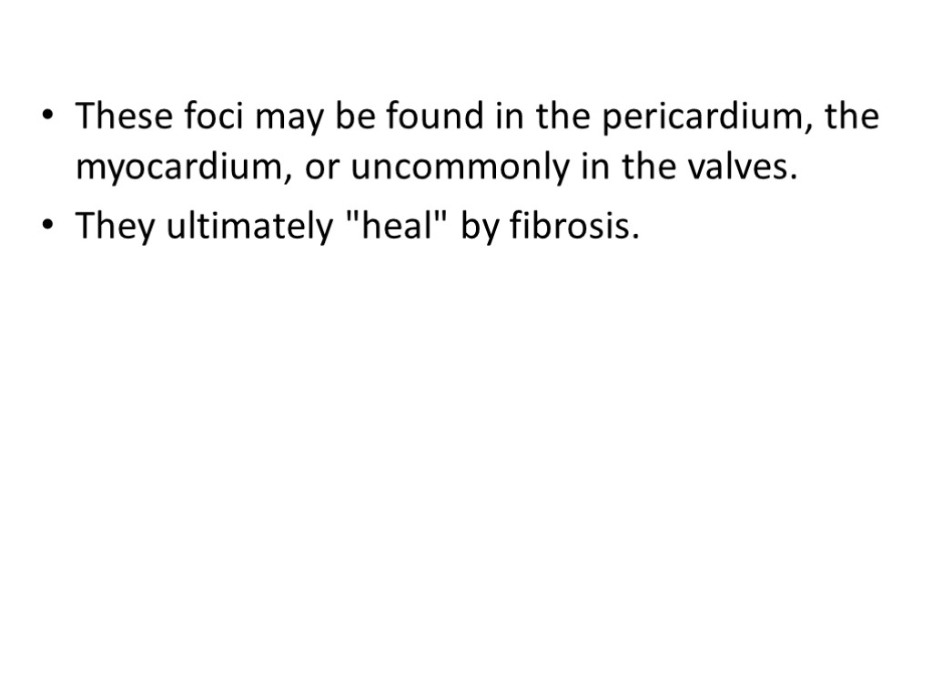 These foci may be found in the pericardium, the myocardium, or uncommonly in the